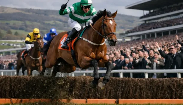 Cheltenham Gold Cup 2026: как Gaelic Warrior выиграл главную гонку сезона